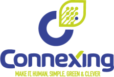 logo Connexing