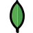 MongoDB